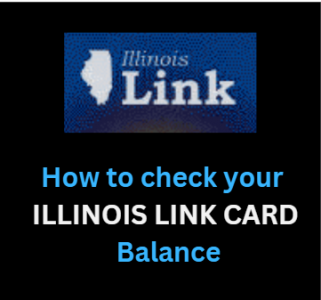 Www.dhs.state.il.us – How To Check Your ILLINOIS LINK CARD Balance ...